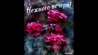 Нежного вечера, приятного отдыха!