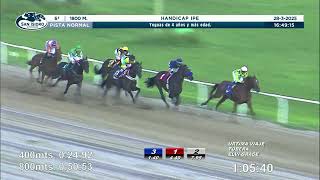 Vidéo de la course PMU HANDICAP IPE