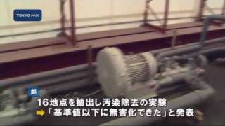 豊洲の汚染処理実験　「無害化」は低濃度の土壌から