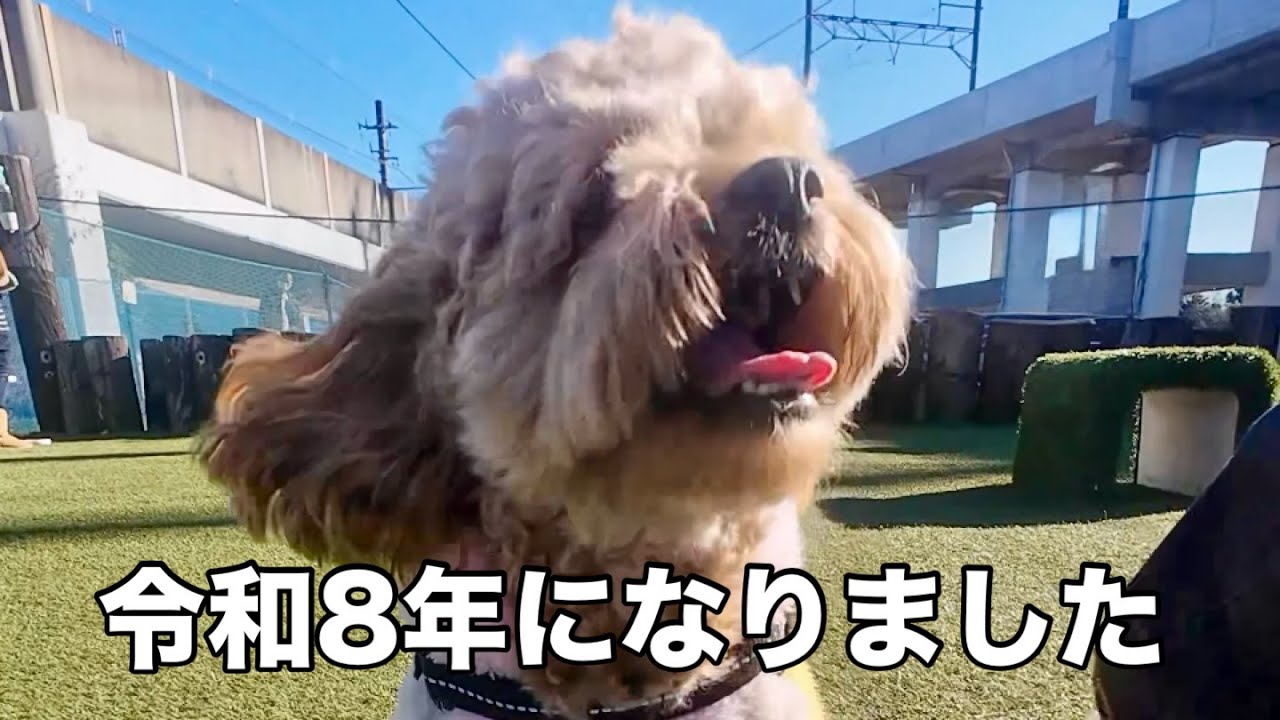 令和8年になりました