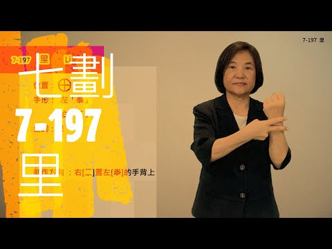 臺灣手語語料彙整【里】7 197
