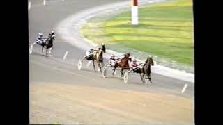 1995 Scioto Downs ROMPIN RICH Dave Hawk