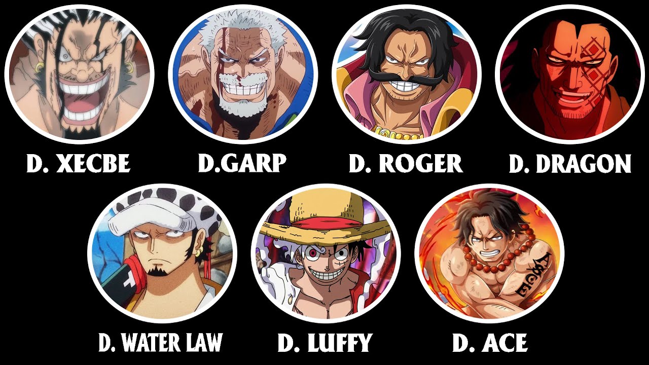 Tất Cả 10 Thành Viên Gia Tộc D. Clan Trong One Piece Giải Thích Trong 15 Phút
