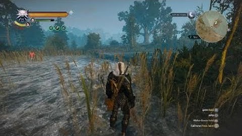 The Witcher 3: Wild Hunt – First  Person  Mode