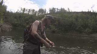 Fly Fishing for Bull Trout and Arctic Grayling on the Pine River in Northern British Columbia