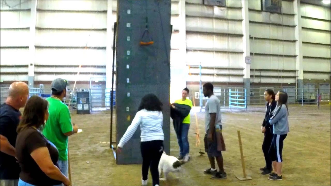 ADBA Top Dog Athletic Event - Wall Climb