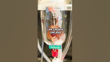 The last one will blow your mind #youtubeshorts #top10 #tiktok #reels #science #future #trending