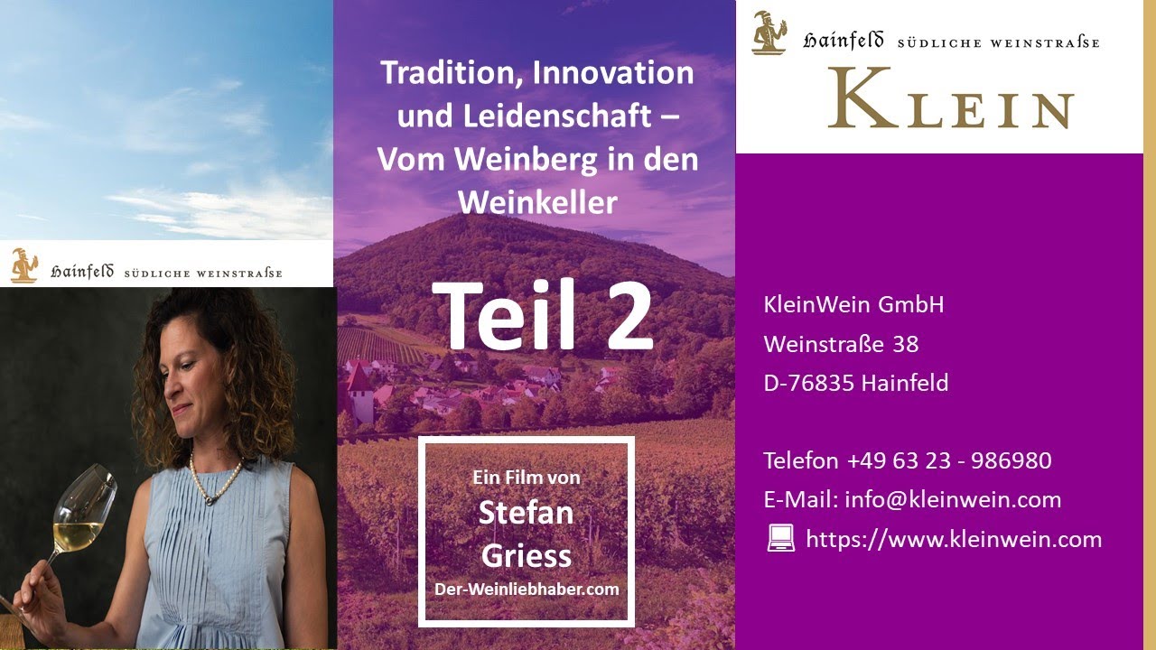 Weingut Klein in Hainfeld: Tradition, Innovation und Leidenschaft – Vom Weinberg zum Weinkeller