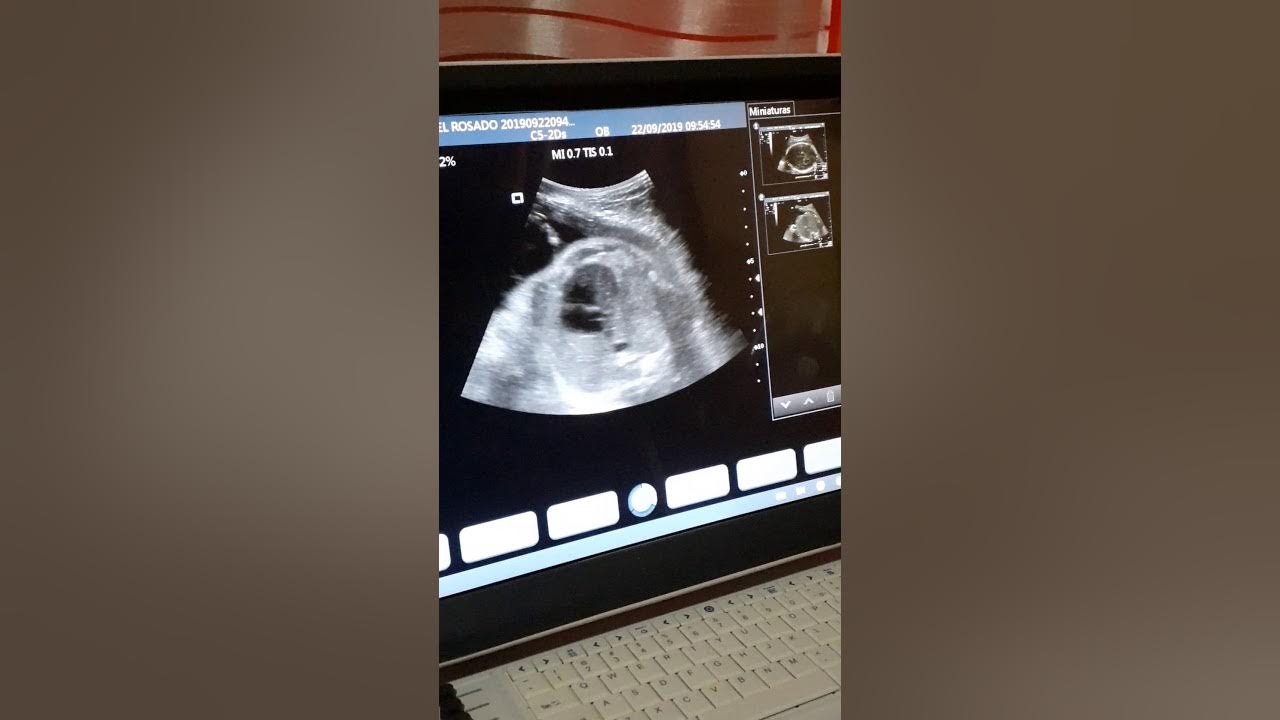 Baby Bell YouTube baby-bell-youtube