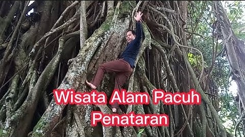 Hutan Lindung dan Wisata Alam Pacuh Penataran Nglegok Blitar