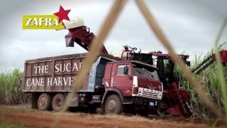 Havana Club 3 Años - How It's Made