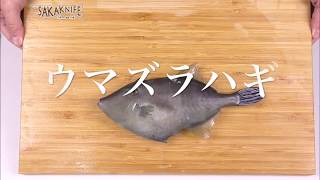 サカナイフでウマズラハギをさばく