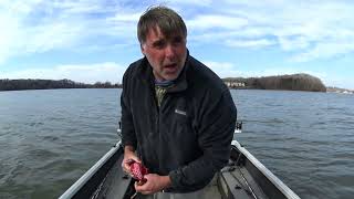 How To Catch Bait In Deep Water