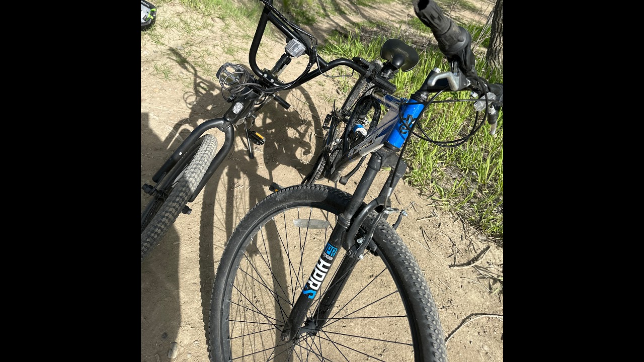 Donut Smp! WITH FYNNSTAR auction only and getting my money back