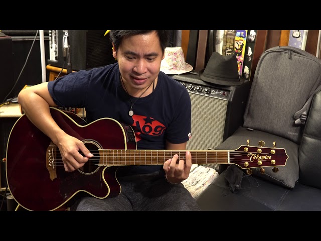 2012 Takamine DMP551C WR - YouTube