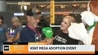 More than 1,000 pets ready to find their home at mega adoption event