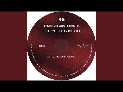 I Feel You (Extended Mix)