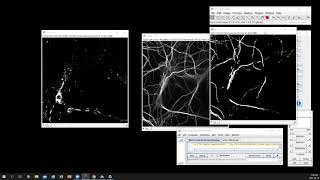 3D ImageJ Suite Demo_create mask and analyze integrated intensity