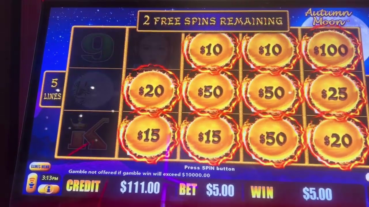 $5 bets pokies hold and spin