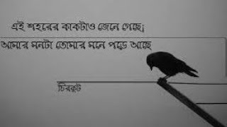 এই শহরের কাকটাও জেনে গেছে || Ei Shohorer Kak Tau Jene Geche || Lyrics Song || Edit Video By Nirob