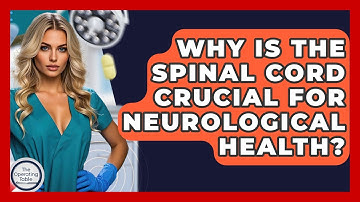 Why Is The Spinal Cord Crucial For Neurological Health? - The Operating Table