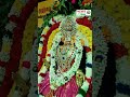 ஆடி மூன்றாவது வெள்ளிக்கிழமை சிறப்பு பூஜை குழந்தை வடிவான அருள்மிகு சீர்காழி மாரரியம்மன்