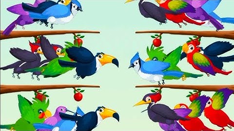 Colourfull Birds/ Birds Puzzle / Birds Sort#subcribe #games 