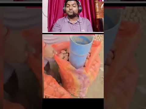 देखिए कैसे बड़े-बड़े आलू के बीच में छोटे आलू छुपाया जा रहा है |