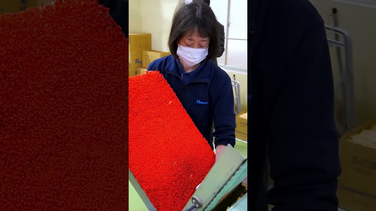[Example Video]  Japan Industry Process