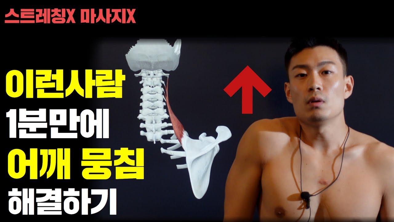1분만에 어깨 뭉침 푸는법 (견갑거근 이완하기)