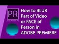 How to Blur Part of Video in Adobe Premiere | How to Pixelate or Hide Face in Videos