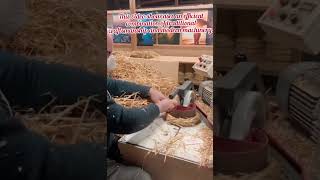 Traditional Straw Weaving: Semi-Automated Wreath Making Machine