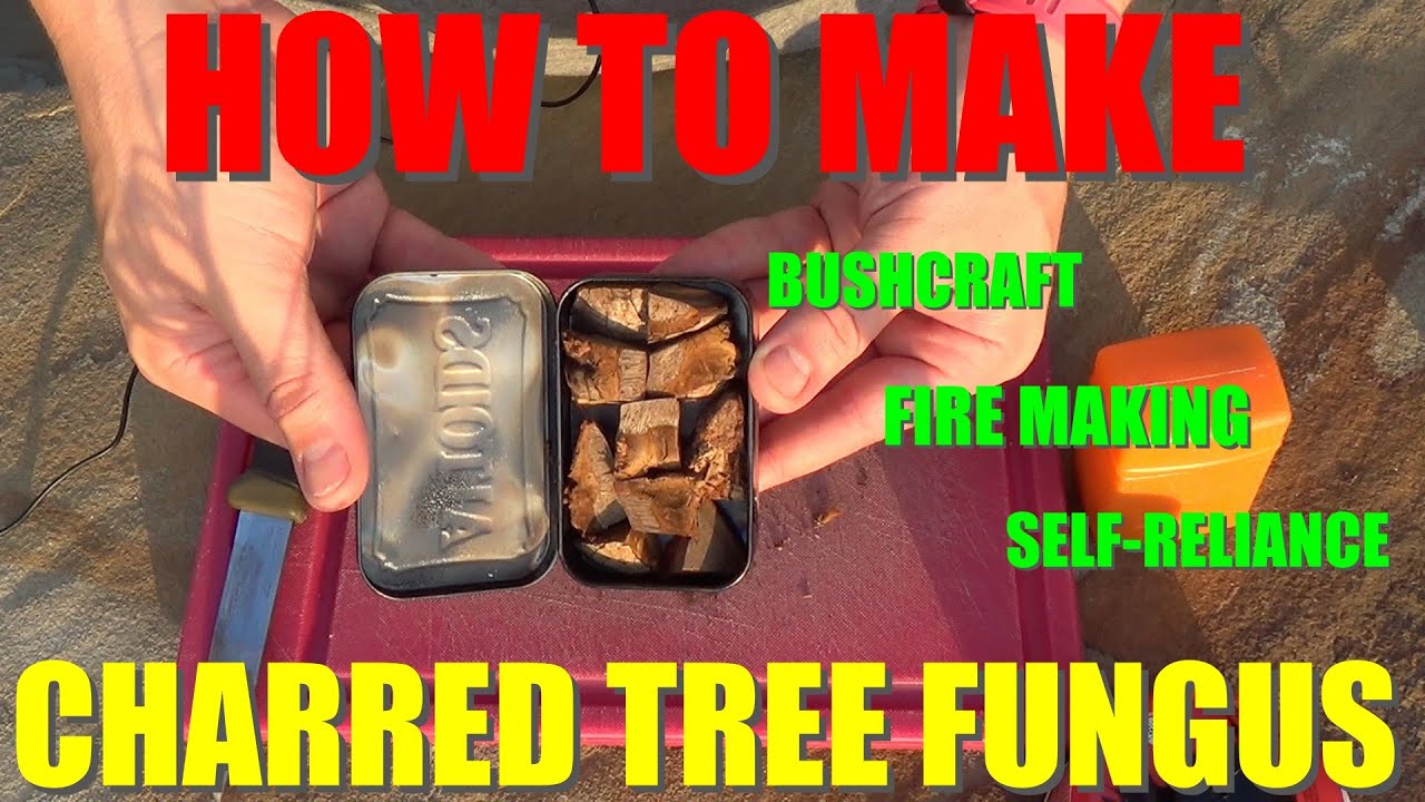 Natural Fire Starter Charred Tree Fungus for Tinder YouTube