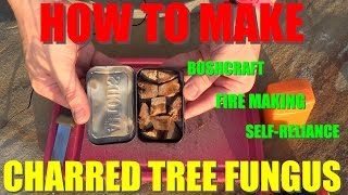 Natural Fire Starter - Charred Tree Fungus For Tinder