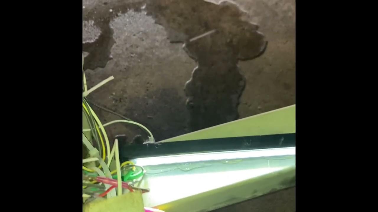 DIY add backup lights to boat trailer YouTube