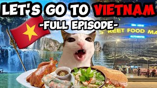 CAT MEMES: FAMILY VACATION COMPILATION TO VIETNAM + EXTRA SCENES