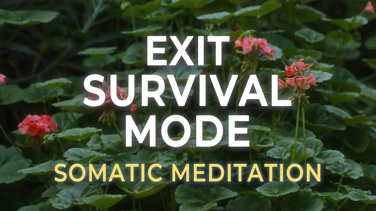 Отмена режима чрезвычайного положения | Перезагрузка нервной системы при хроническом стрессе