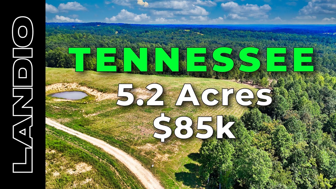 5.2 Acres of Tennessee Land for Sale near Kentucky Lake • LANDIO YouTube