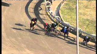 Angle-Park-07012016-Race-2