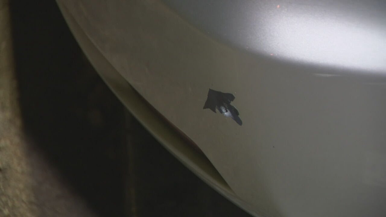 Probe ordered after shots fired at errant Instacart driver's vehicle ...