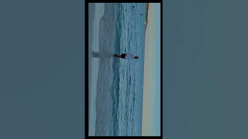Bataille DRAGANOV Snippet 