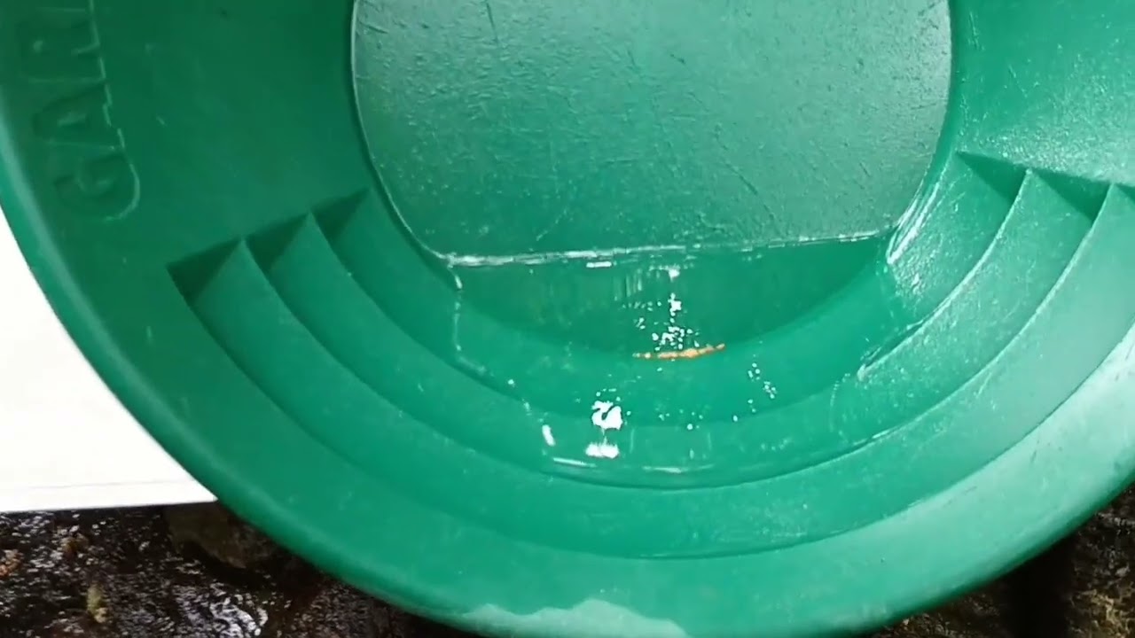 Самородно Злато - Проучване на нова планинска река.