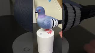 Amazon finds gadgets #kitchen #shop #shopping #hack are #home #house #decor have #viral #reels