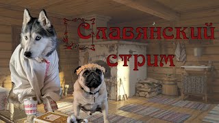 Славянский Стрим 10