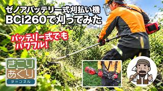 刈払機用安定板 ジズライザープロ Zizlizer Pro – きこりあぐり通販