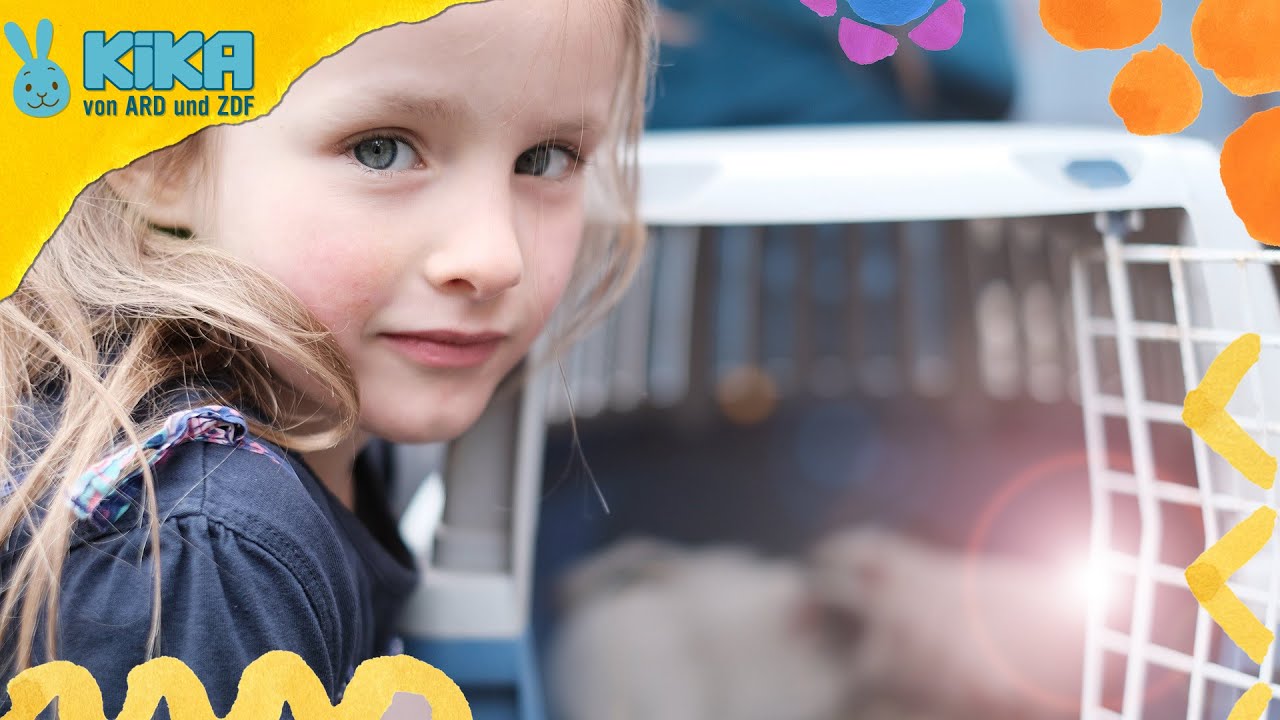 Malou versorgt die Tiere| ICH bin ICH | Mehr auf kikaninchen.de