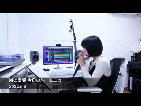 嵐の素顔/工藤静香  今日のハーモニカ