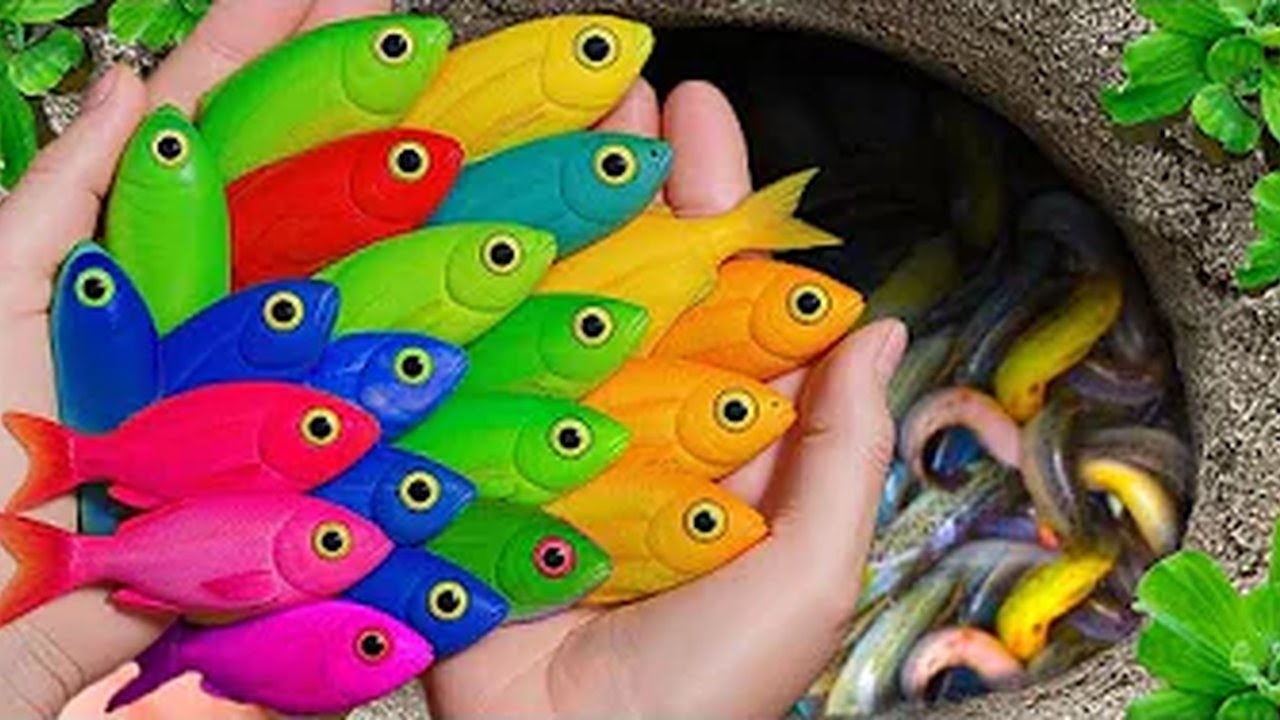 Secret Pond Holds GIANT Dragon Guppies & Terrifying Creatures | Tino fish