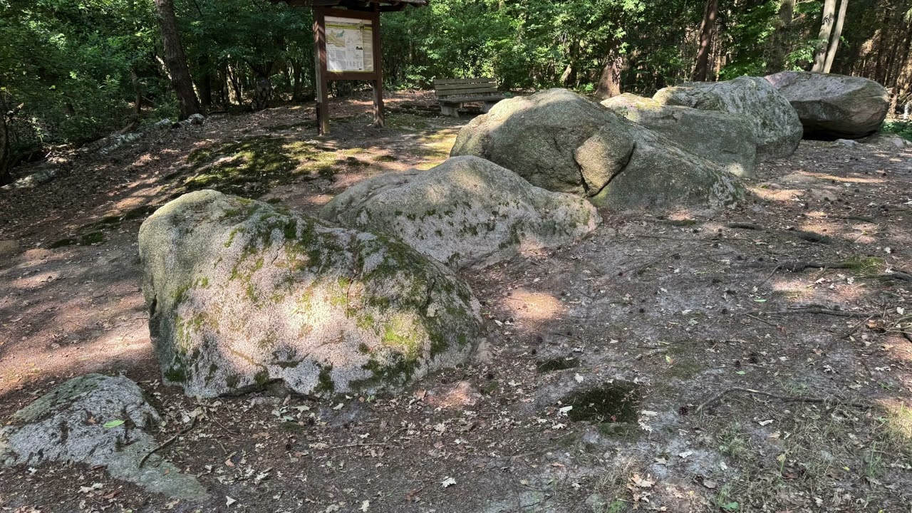 Großsteingrab Ipeken Tannwald (Straße der Megalithkultur 16 a) Groß Berßen, Megalithgrab, Hünengrab