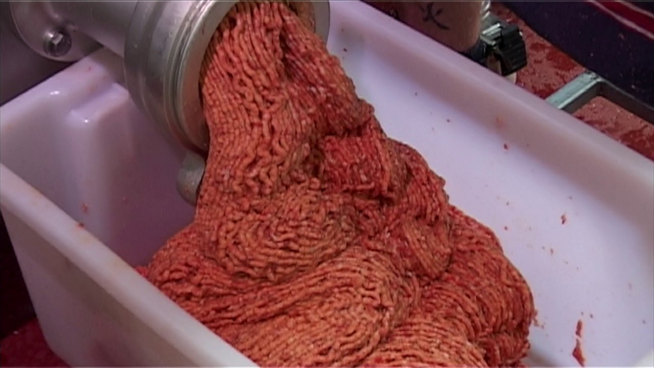 thompson meat mincer